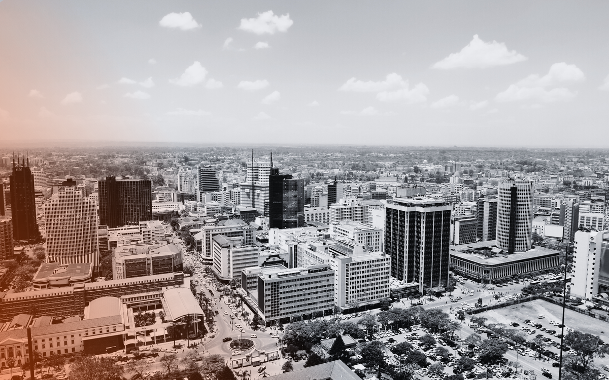 Investitionen in Afrika: Reine Entwicklungshilfe oder strategisches Investment?